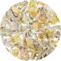 Kräuter-Tee Griechischer Bergkräuter